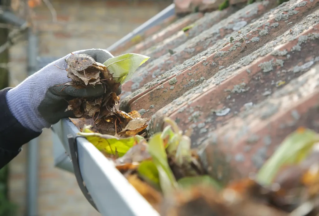 KDB Maintenance and Cleaning